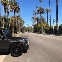 Отзыв от Павел - виза ДТВ